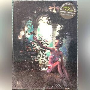 Canvas Art with Timed Lights